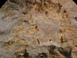 richellite-photo & coll JDV (parties ocres + koninckite plus rosée)